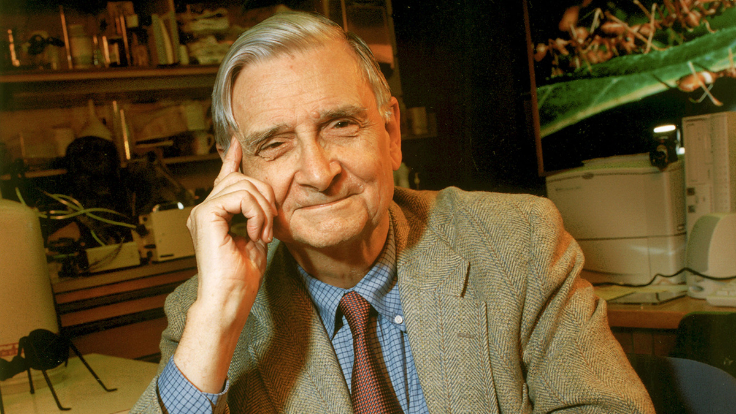 Honoring the Legacy of Edward O. Wilson, Pioneering Harvard Biologist